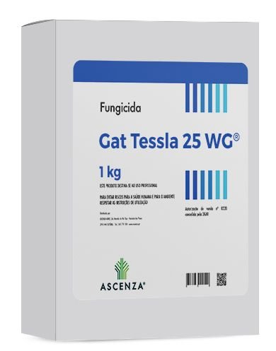 GAT TESSLA 25 WG KG 1