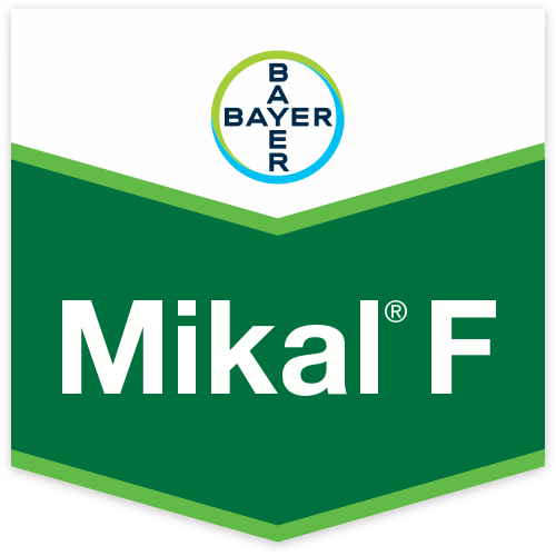 MIKAL F KG 1