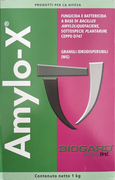 AMYLO-X  KG. 1