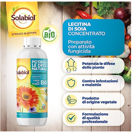LECITINA DI SOIA LT 1