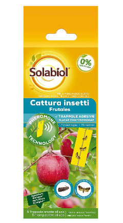 TRAPPOLA PER TIGNOLA ORIENTALE E CARPOCAPSA DEL MELO