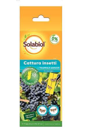 TRAPPOLA PER TIGNOLA E TIGNOLETTA