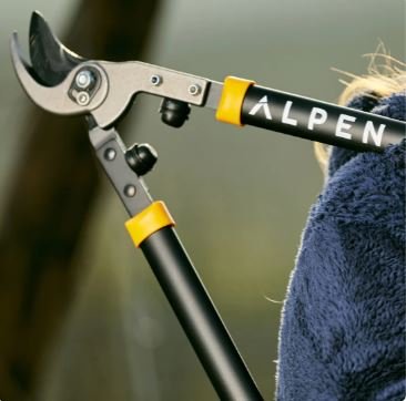 TRONCARAMI WEISSHORN 260