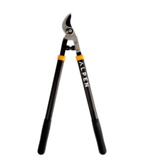 TRONCARAMI WEISSHORN 260