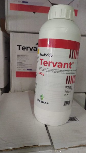 TERVANT KG 0.5