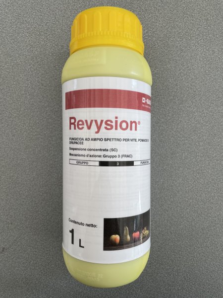 REVYSION LT1