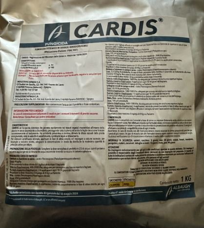 CARDIS KG.1