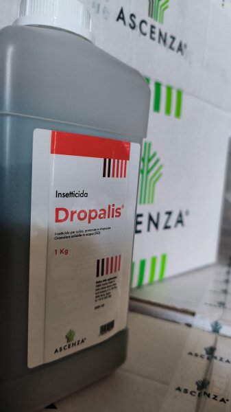 DROPALIS KG.1