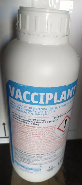 VACCIPLANT LT1
